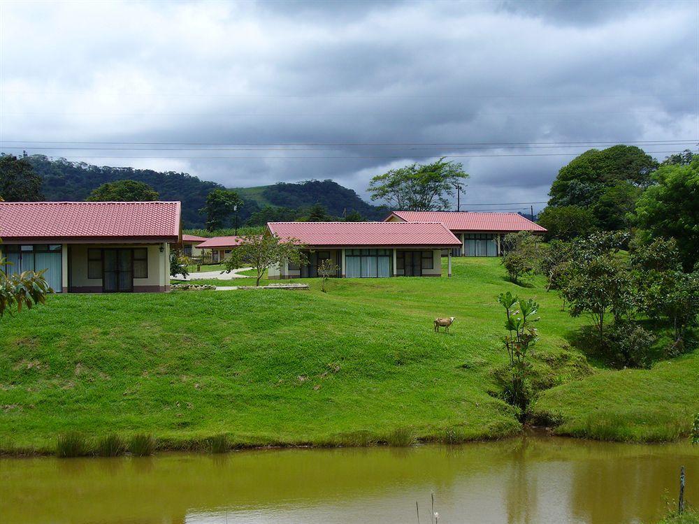 Termales Del Bosque & Hot Springs Hotel La Marina Eksteriør billede