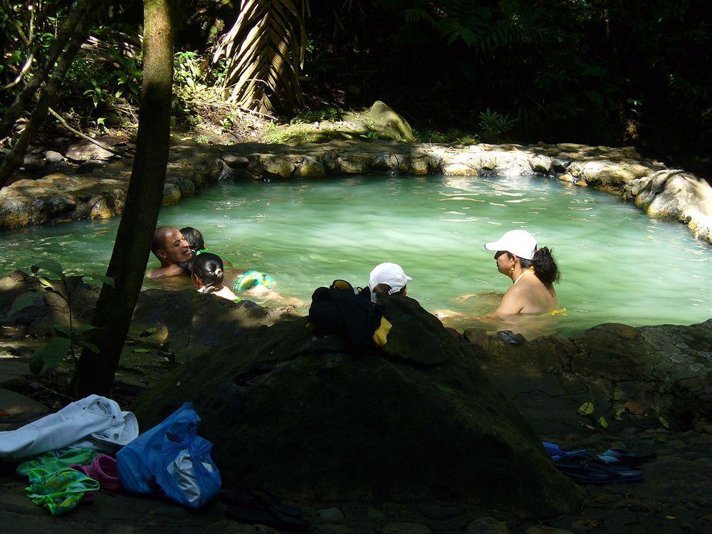 Termales Del Bosque & Hot Springs Hotel La Marina Eksteriør billede