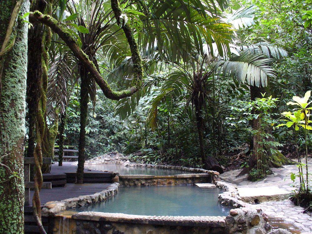 Termales Del Bosque & Hot Springs Hotel La Marina Eksteriør billede