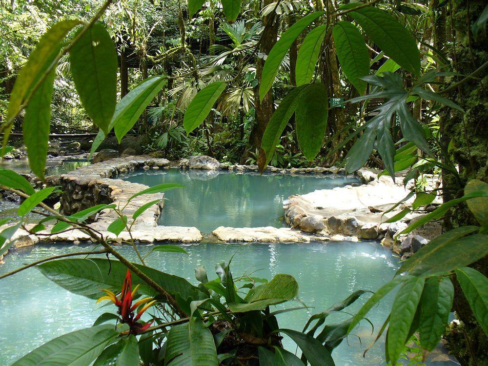 Termales Del Bosque & Hot Springs Hotel La Marina Eksteriør billede
