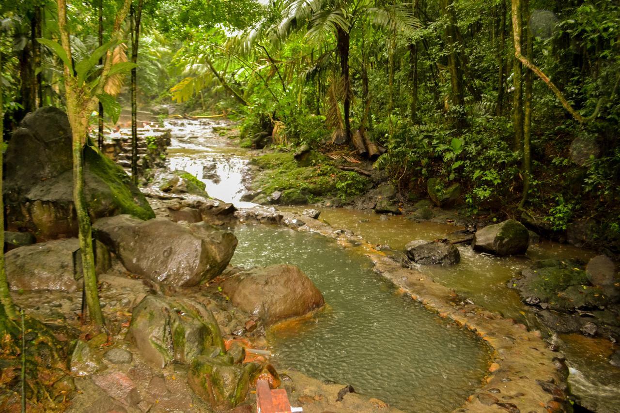 Termales Del Bosque & Hot Springs Hotel La Marina Eksteriør billede