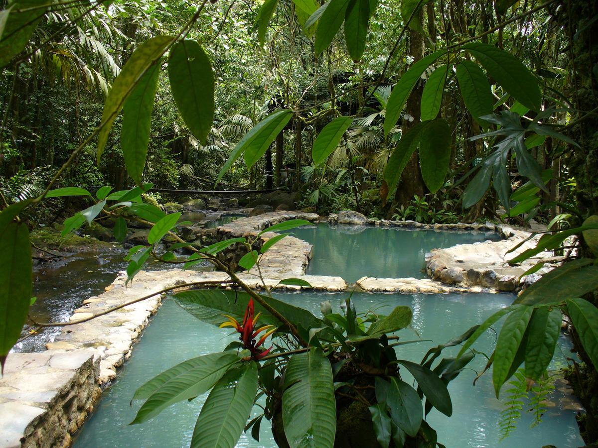 Termales Del Bosque & Hot Springs Hotel La Marina Eksteriør billede