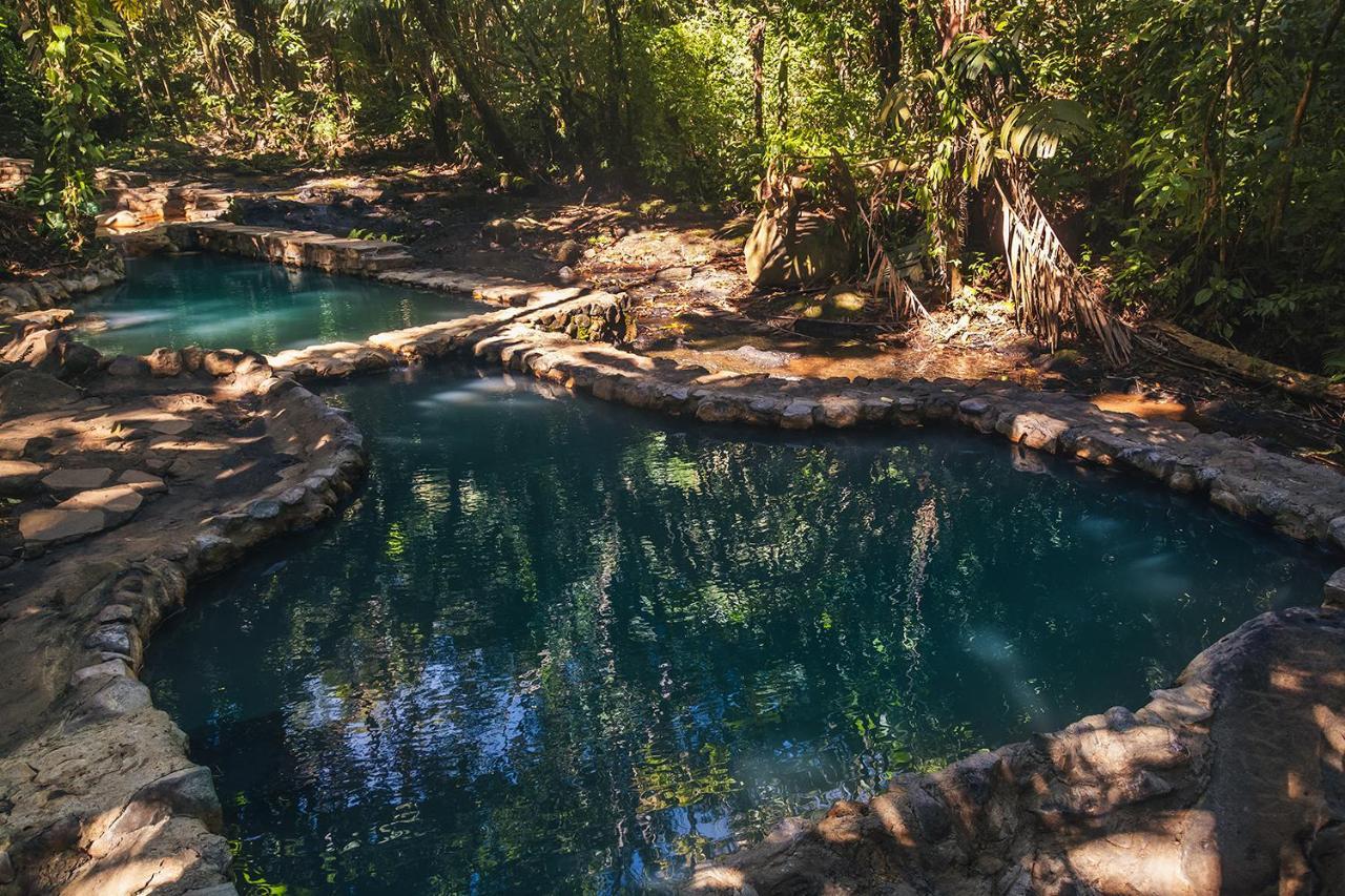 Termales Del Bosque & Hot Springs Hotel La Marina Eksteriør billede