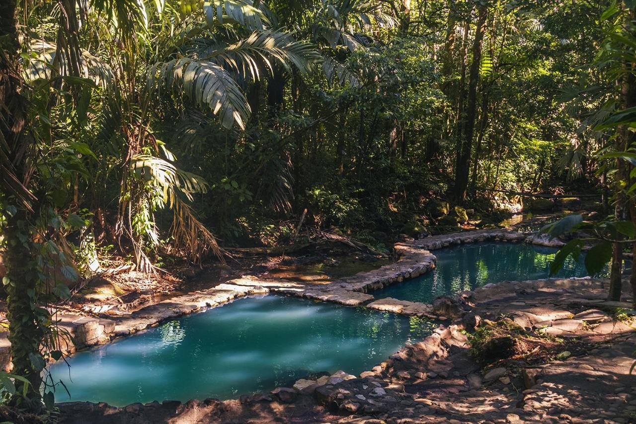 Termales Del Bosque & Hot Springs Hotel La Marina Eksteriør billede